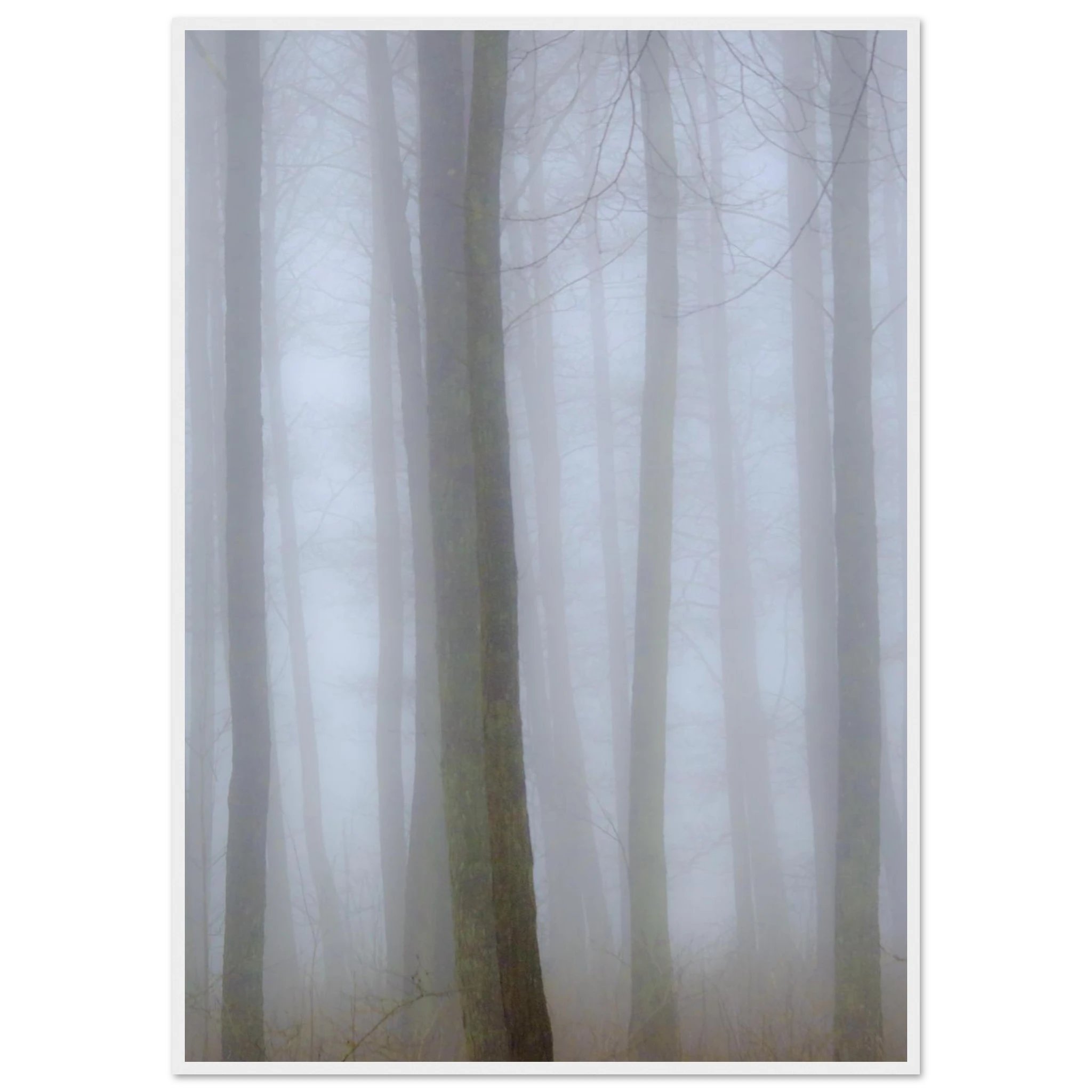 5fd1f7c7-cccb-472e-8909-3dcd9e09f2d3