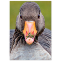 60110789-563d-4883-8eaf-870accc8cf11
