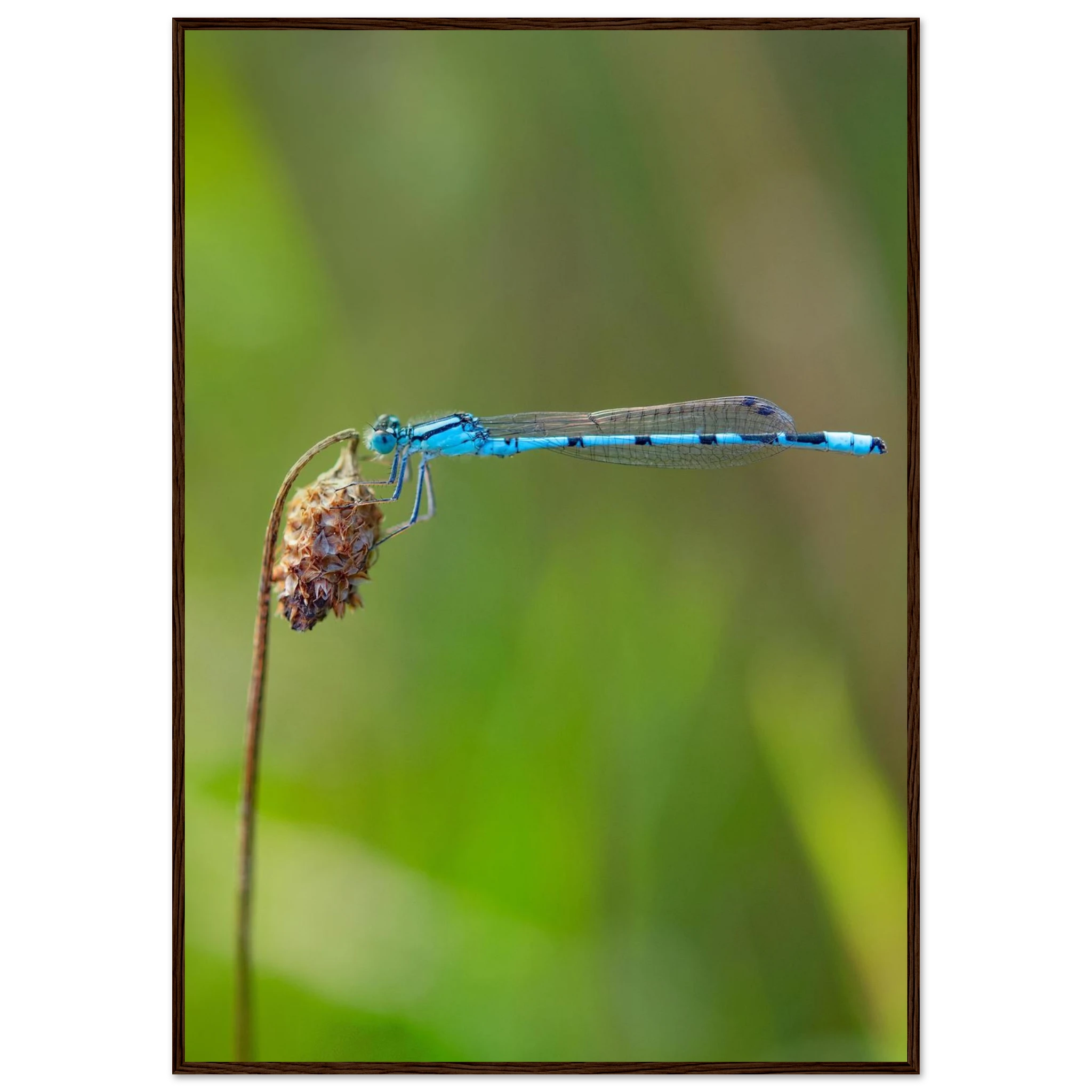 603d467e-f238-442f-98f0-aeb539c3587c