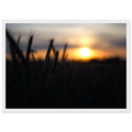 604b40c9-1286-4595-a6ef-6aac493a5319
