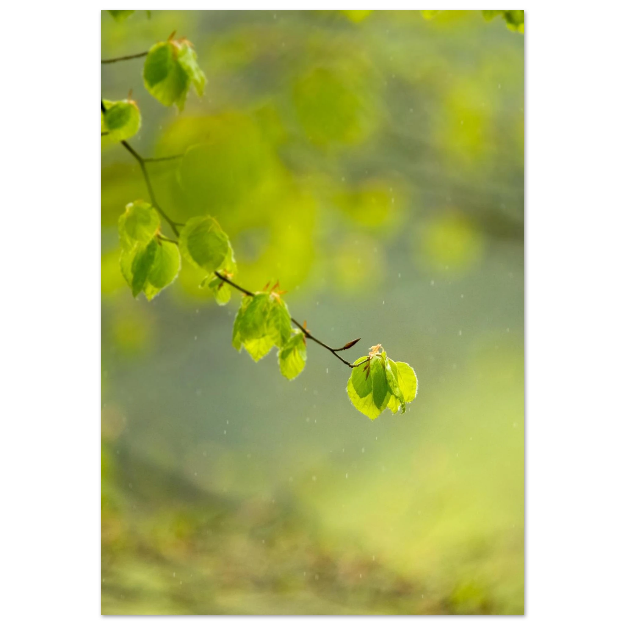 61a08554-f415-4622-b729-36c433e4f1e4