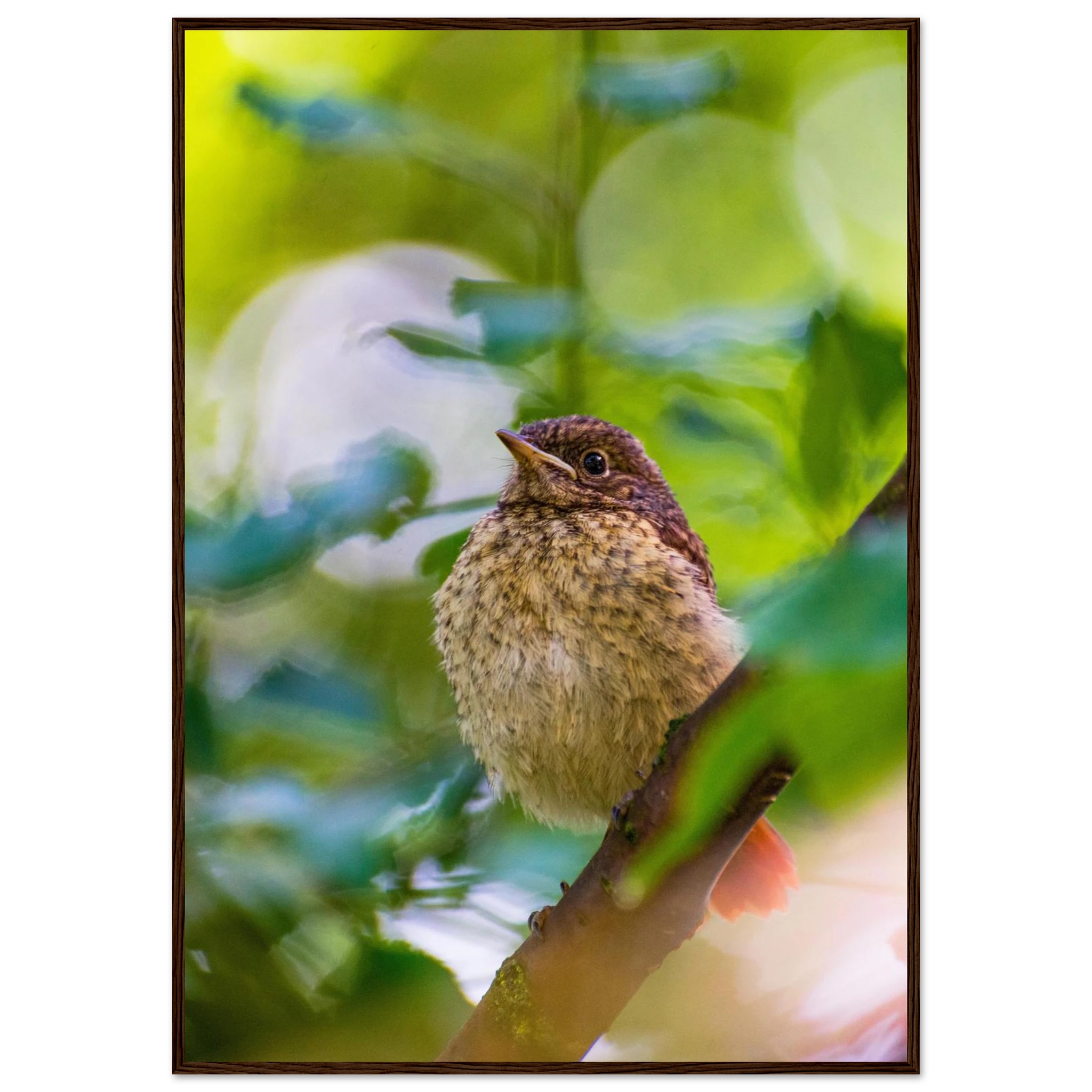 6210b4f0-c046-4edf-a900-af3cc751aa95