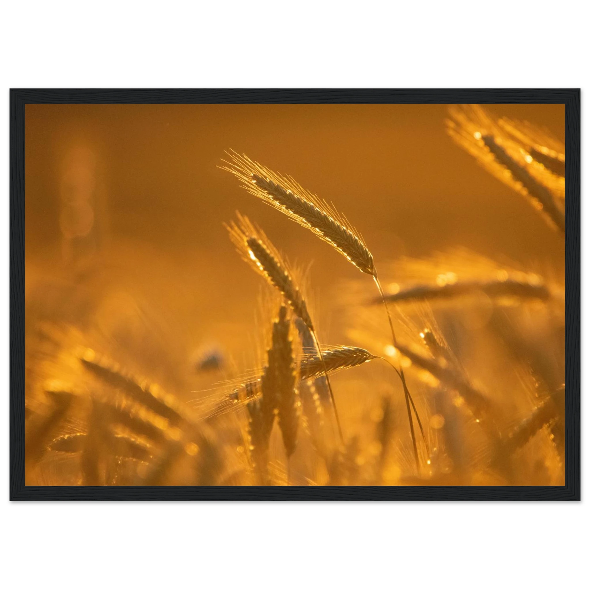 62c7040e-bb47-4174-a800-16e2519a1aa5