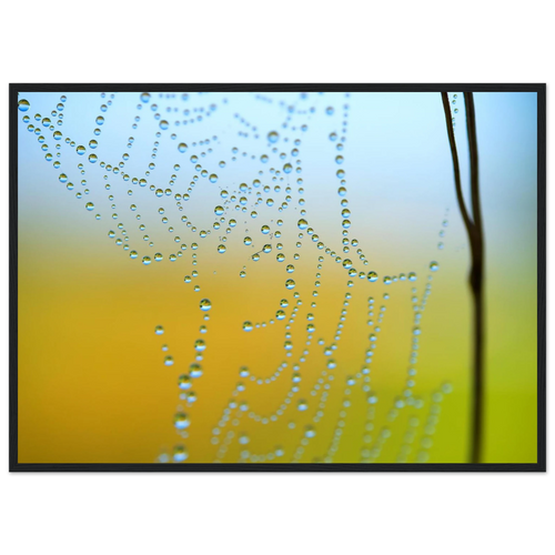 63028d37-54db-4d94-b96f-954a0fe37591
