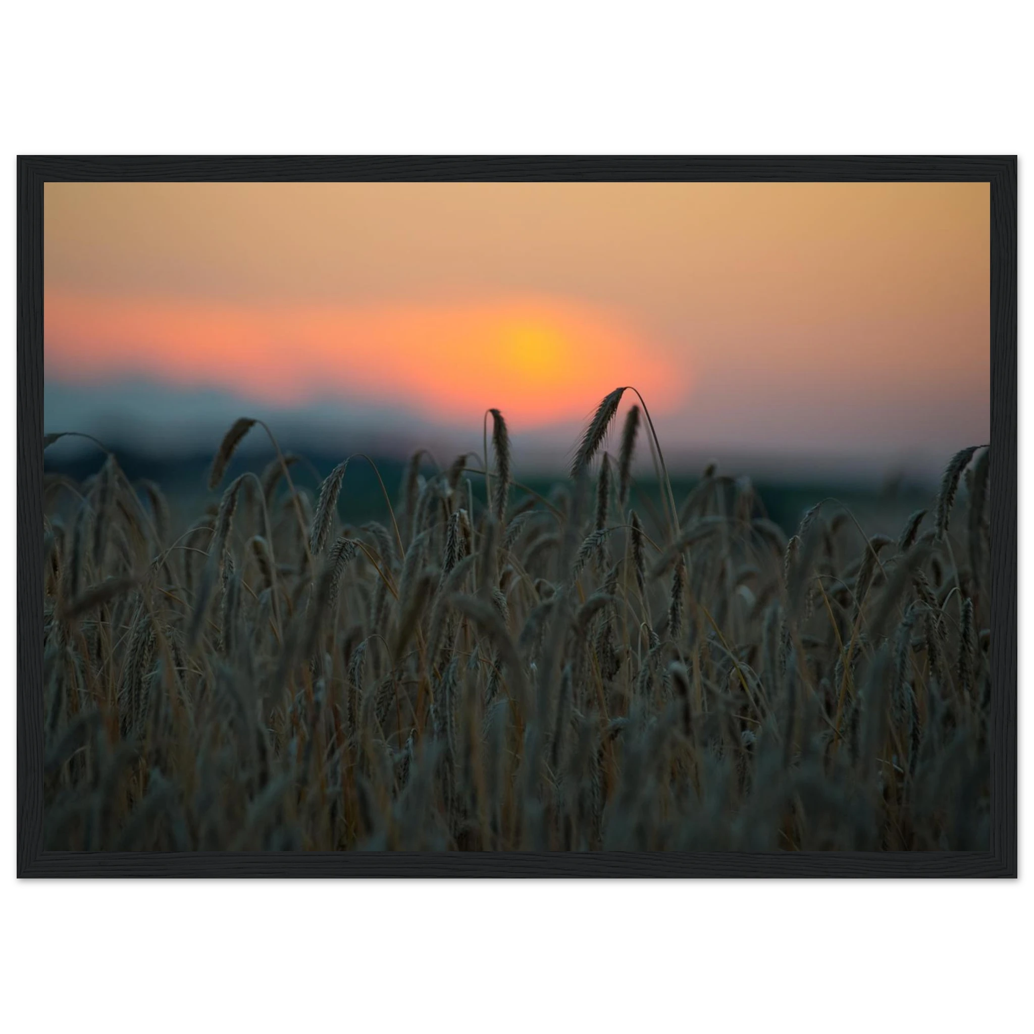 6358d565-25bf-4c08-9f5f-647c25431e20