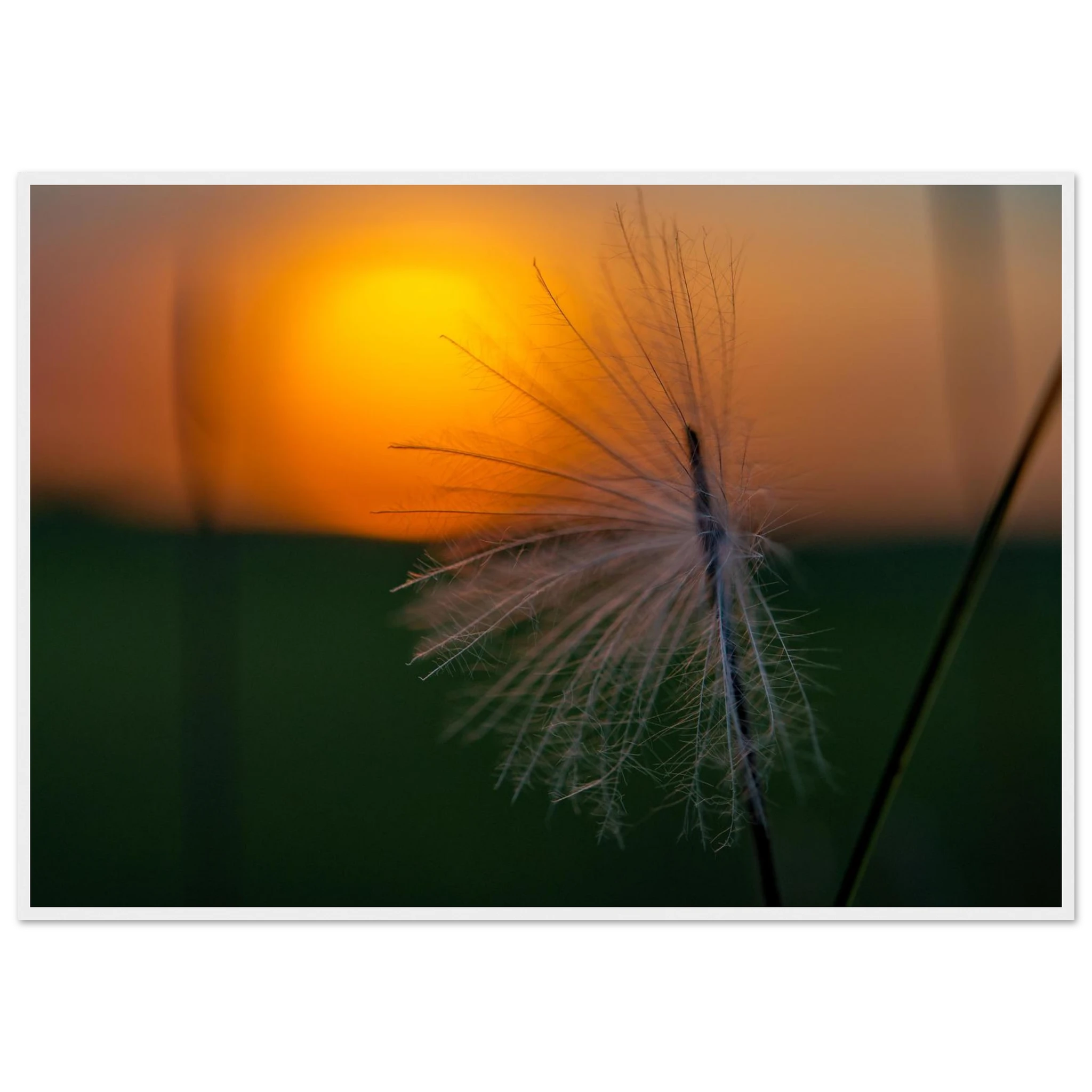 643e9241-b504-49f6-bd5d-5546e37db62a