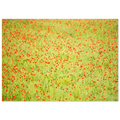 6510987c-b517-4356-98bb-cd2fec4babc6