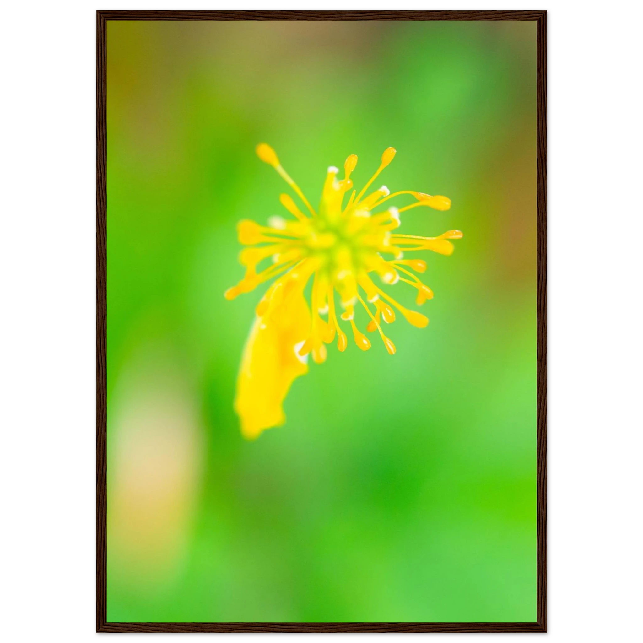 6543cf05-0f60-4061-ad65-a382ec700d68