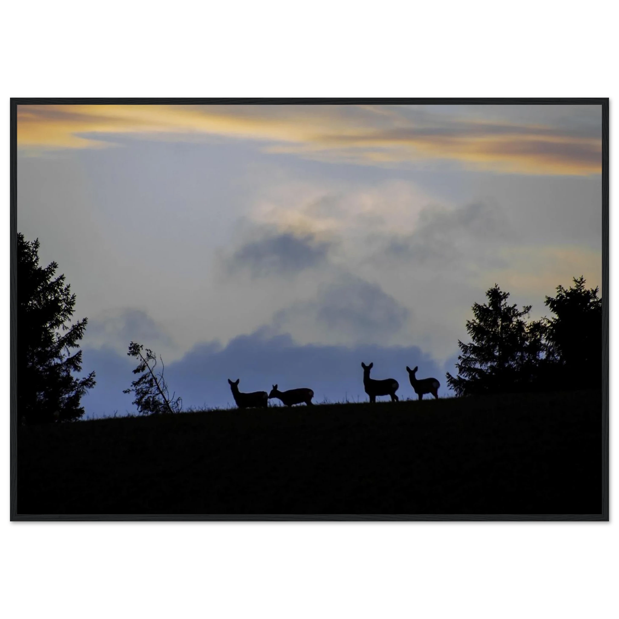 65b59f60-250f-476d-bde3-ef7181ca2c84
