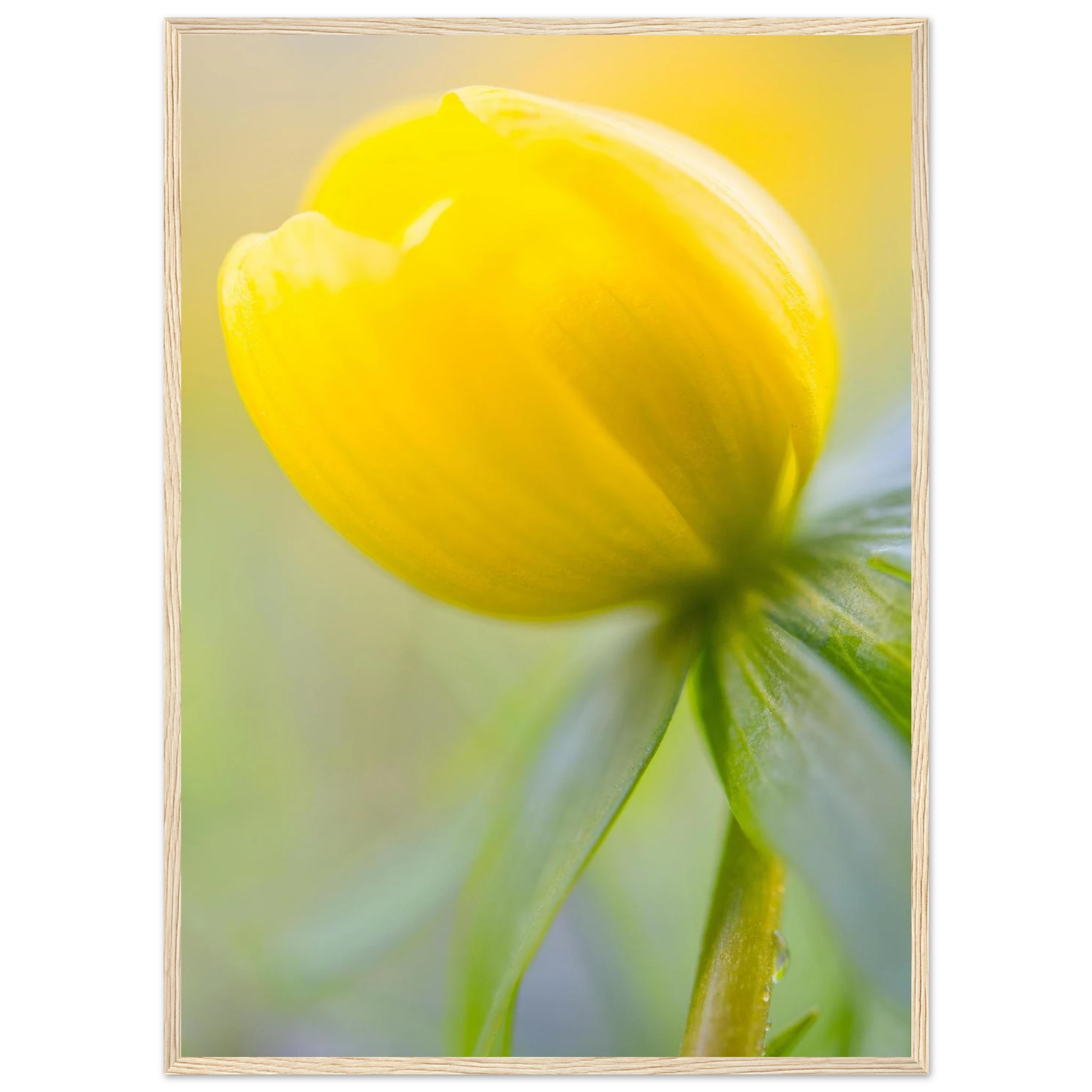 65bb73cb-c646-4759-9c04-96aa5788fd68