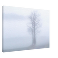 65d5886a-78ce-477b-b6f4-f559699818ce