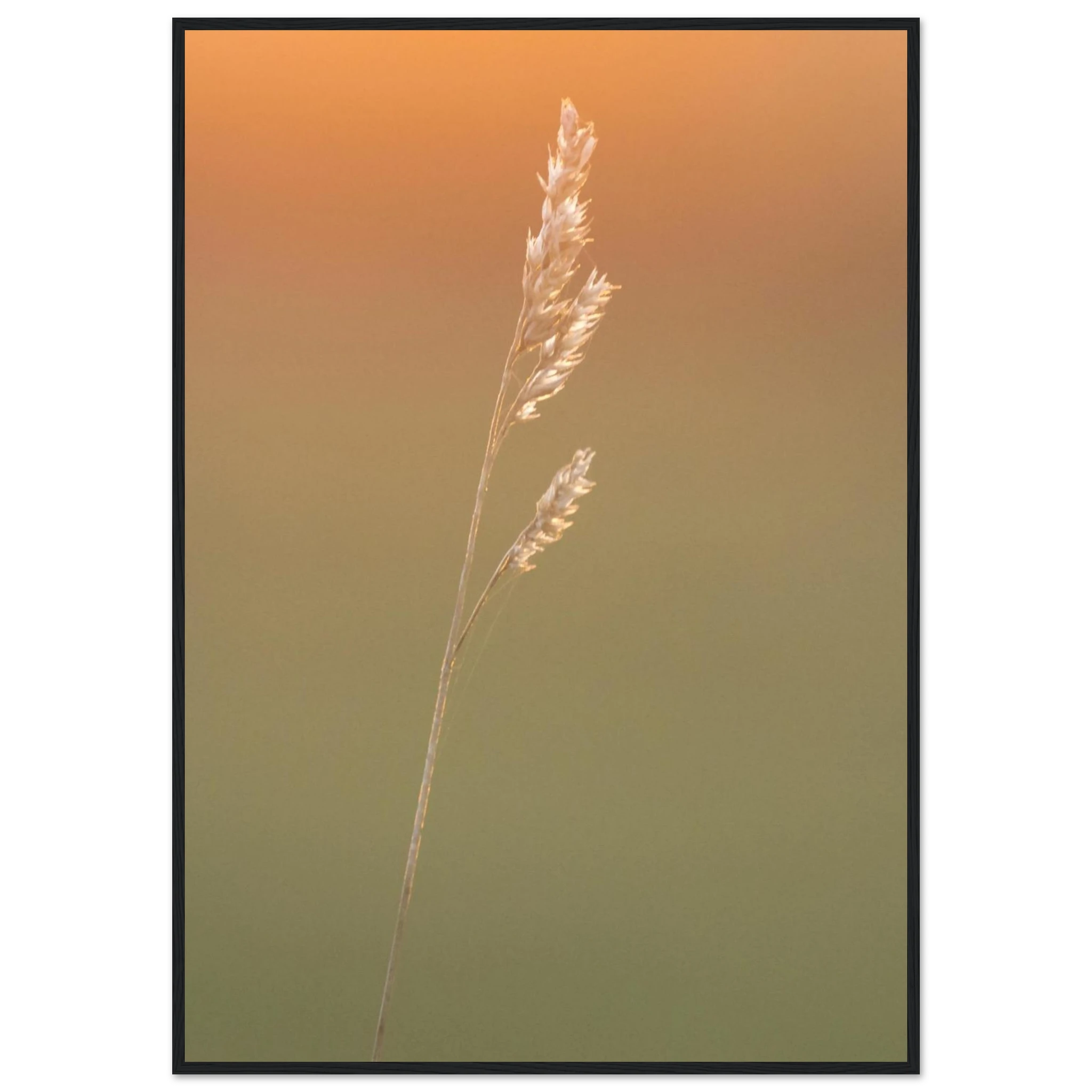 66e7cba5-c157-4c6c-94e0-ef58a042fd0f