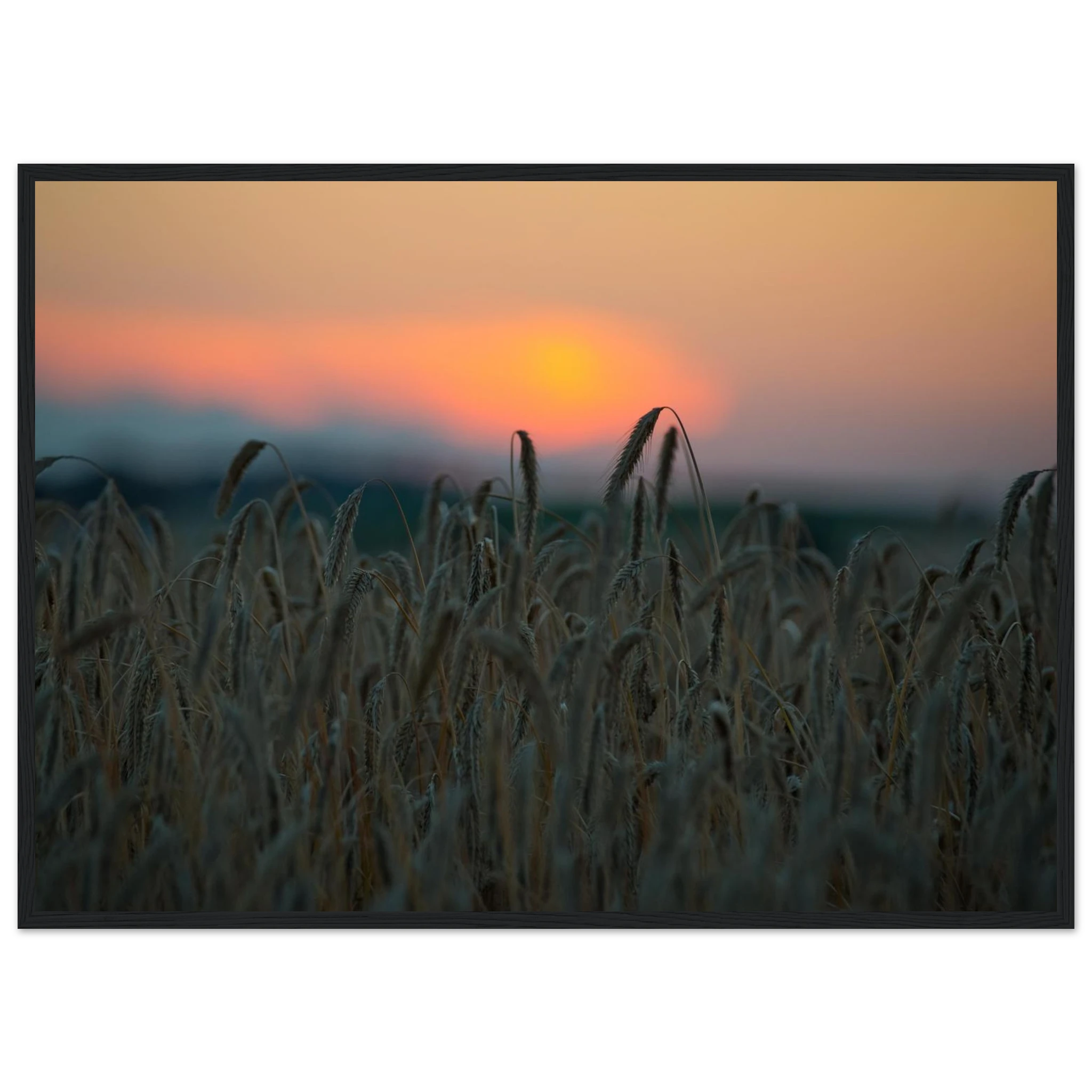 67c11170-a30e-4826-9c17-15b2ad561578