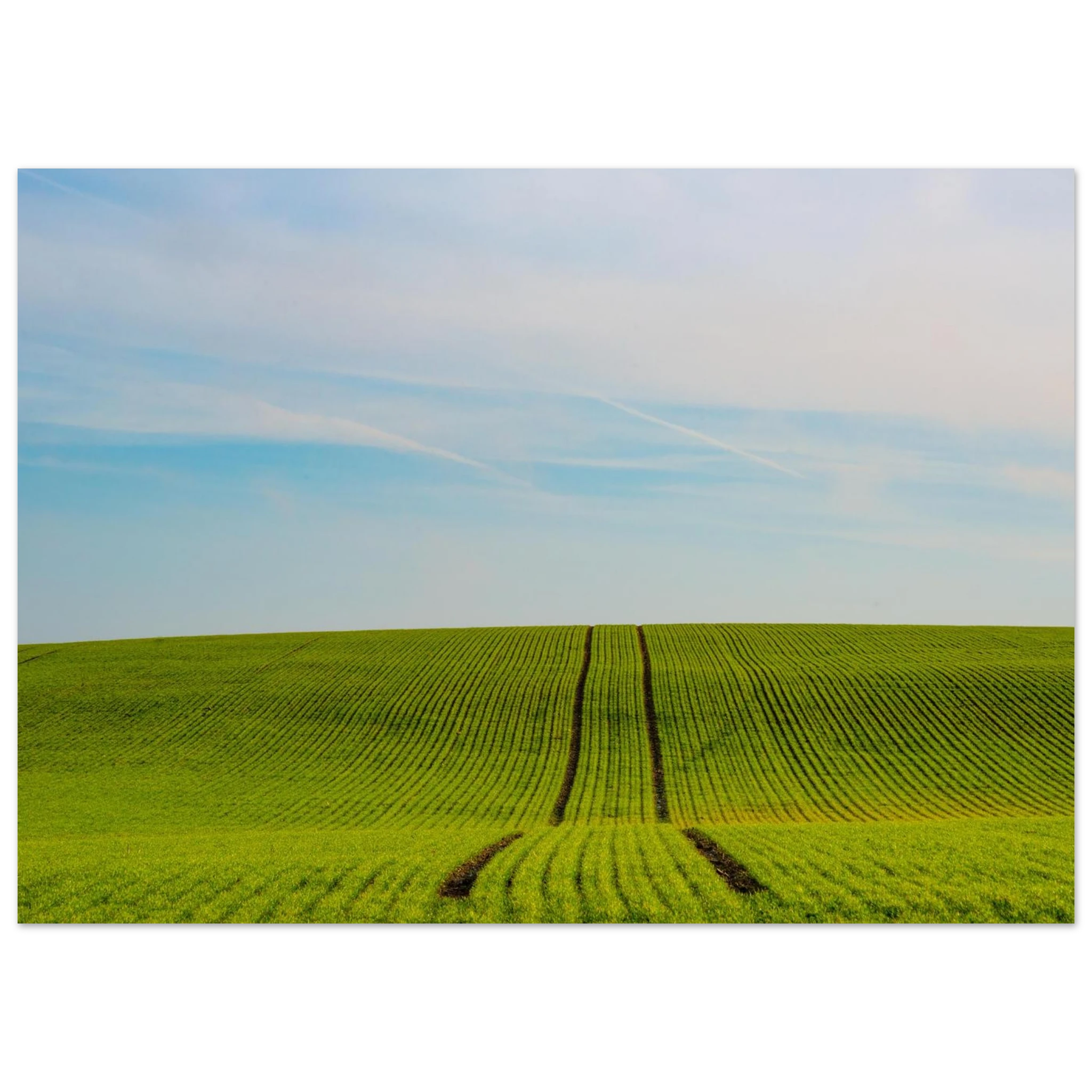 67dba724-0331-4bc3-b572-d401b581831d