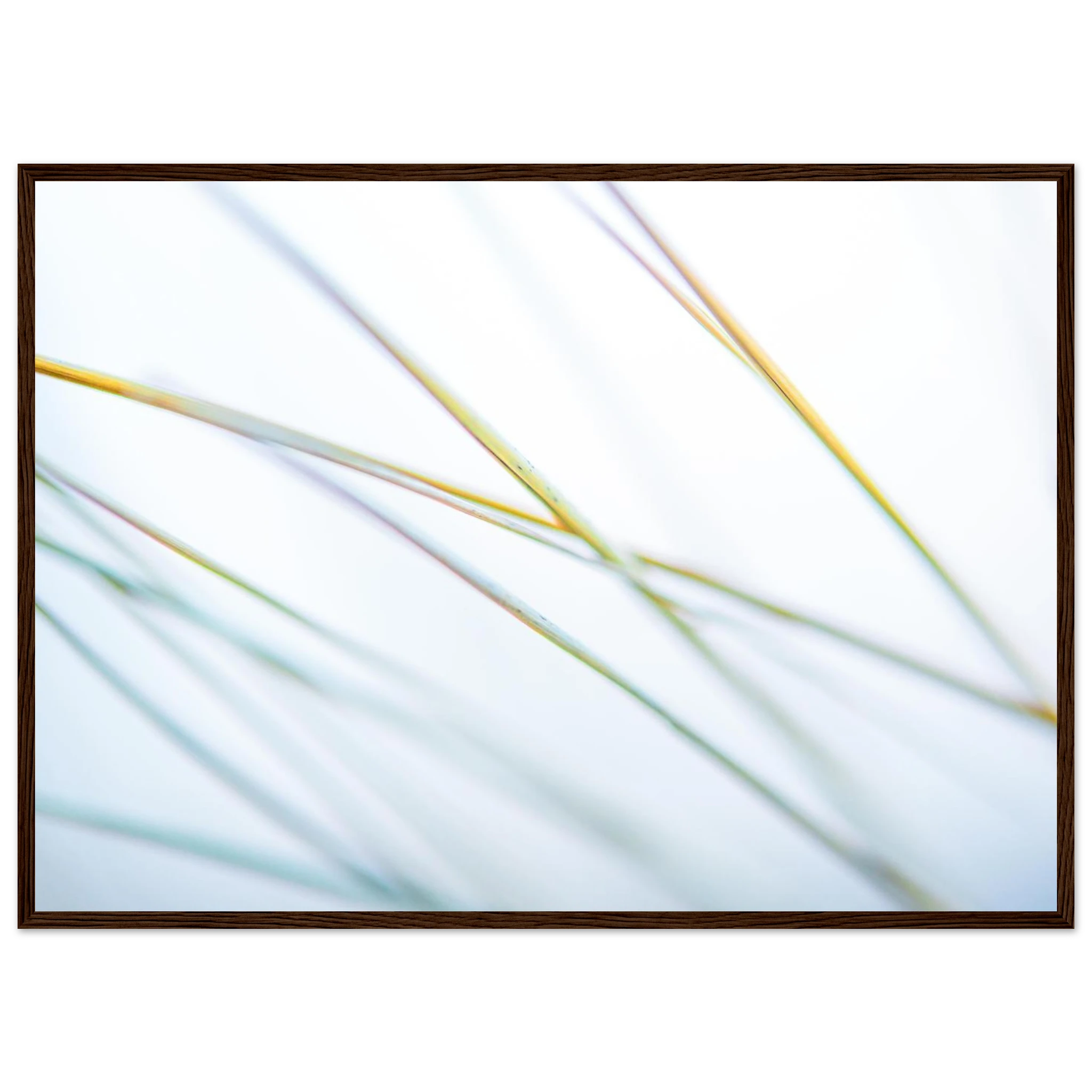 686d7865-d1fe-44b2-b6b5-803a89d4ec49