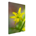 68f75131-7ef3-40b3-92a3-dd5dd69a019b
