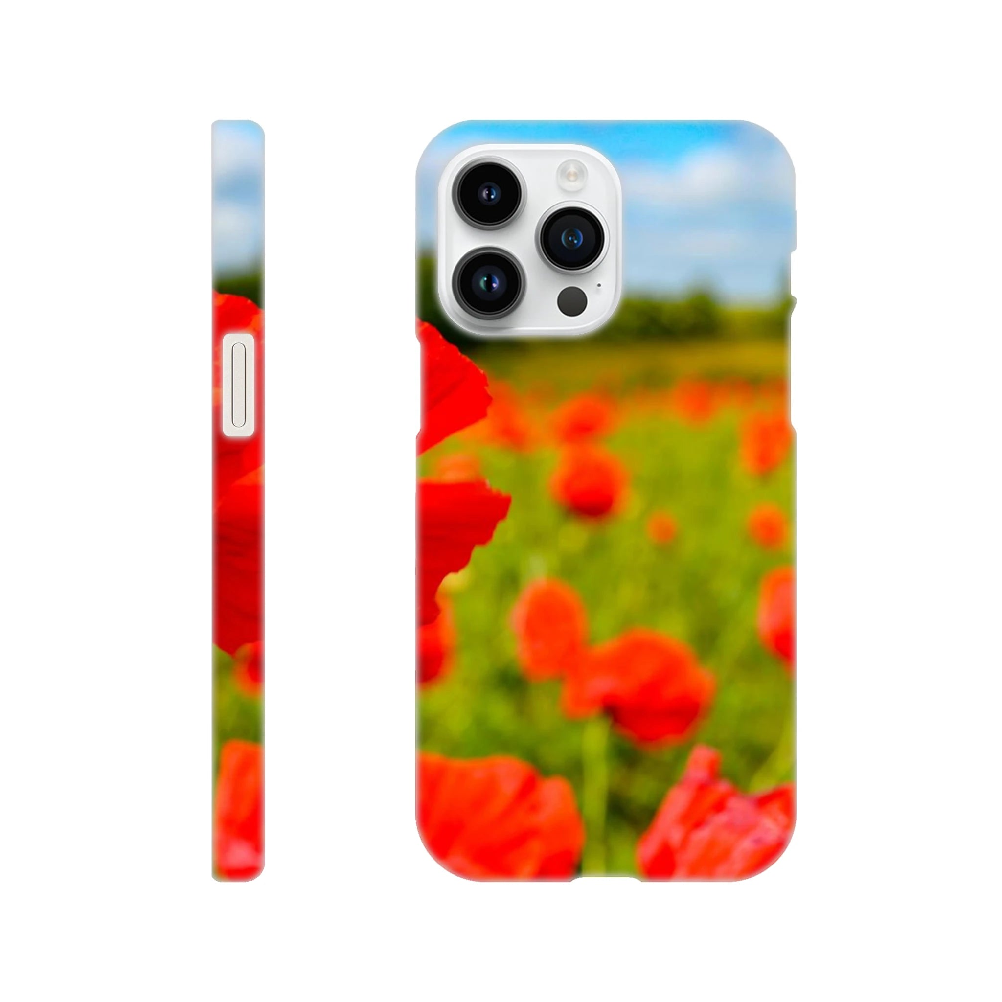 6918f2b2-bd3c-4f16-a47b-f3d763cb354a