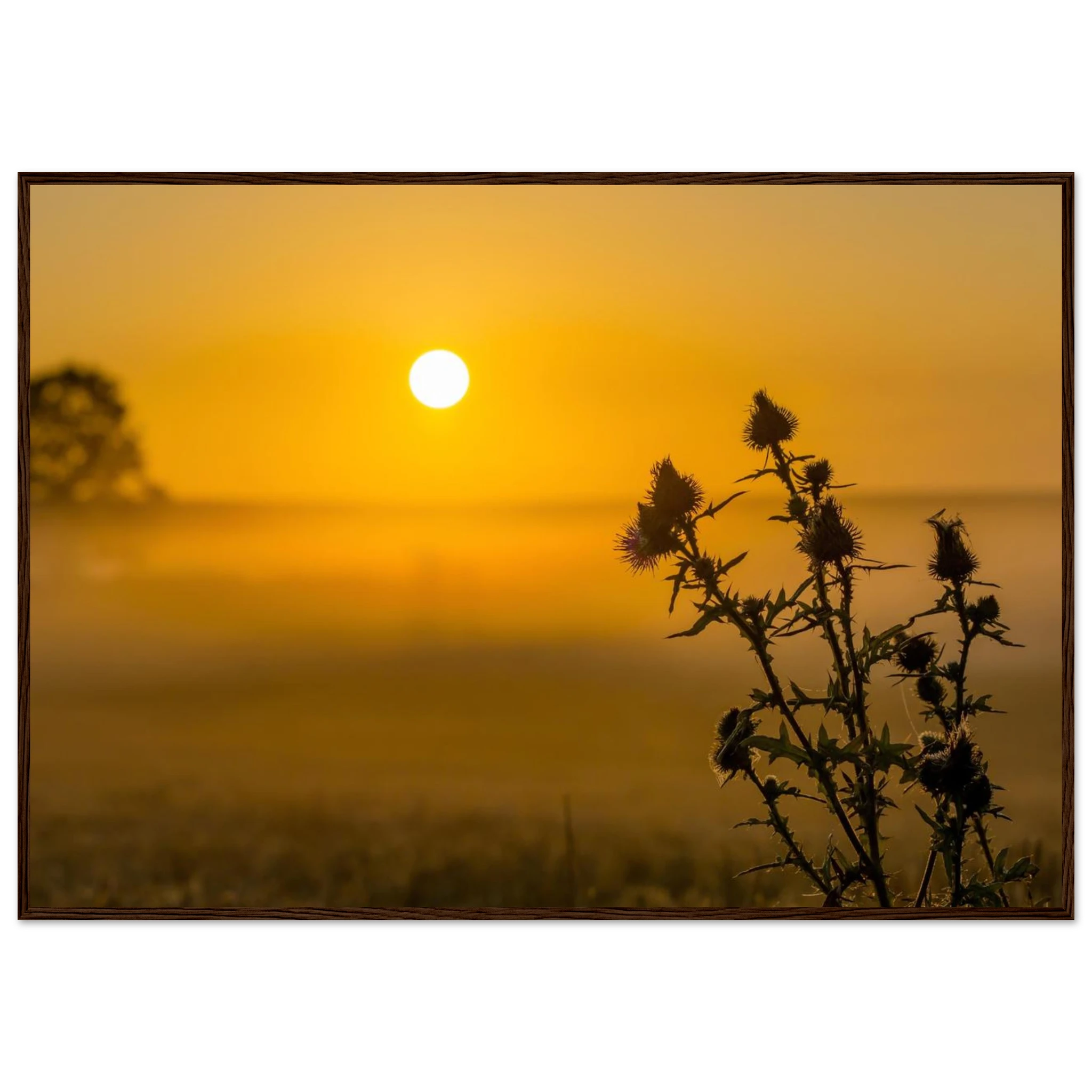 69aa024c-b689-420b-a9c1-d986cc7b6611