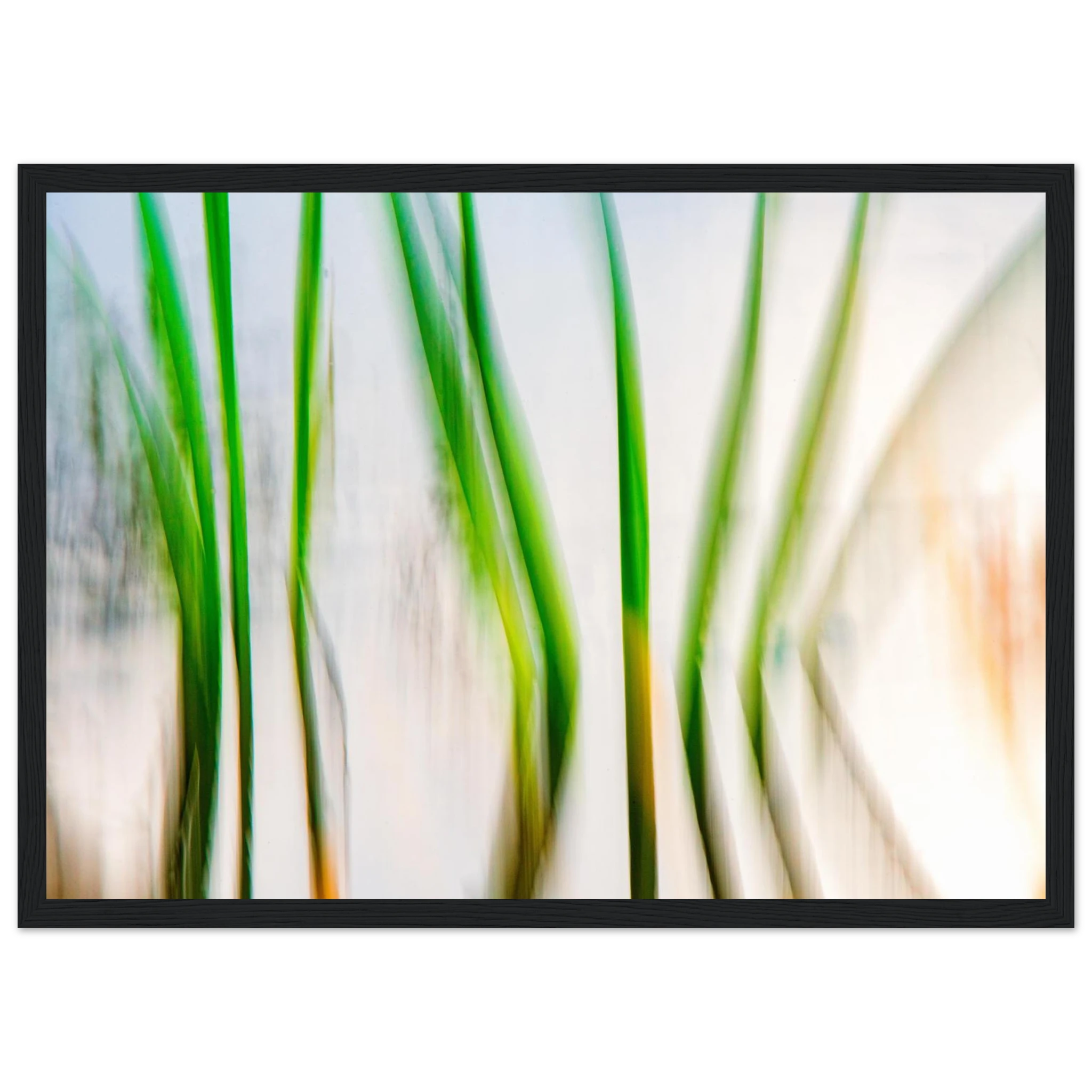 6a0990c8-a0cf-4025-9e2f-68df6689ab58