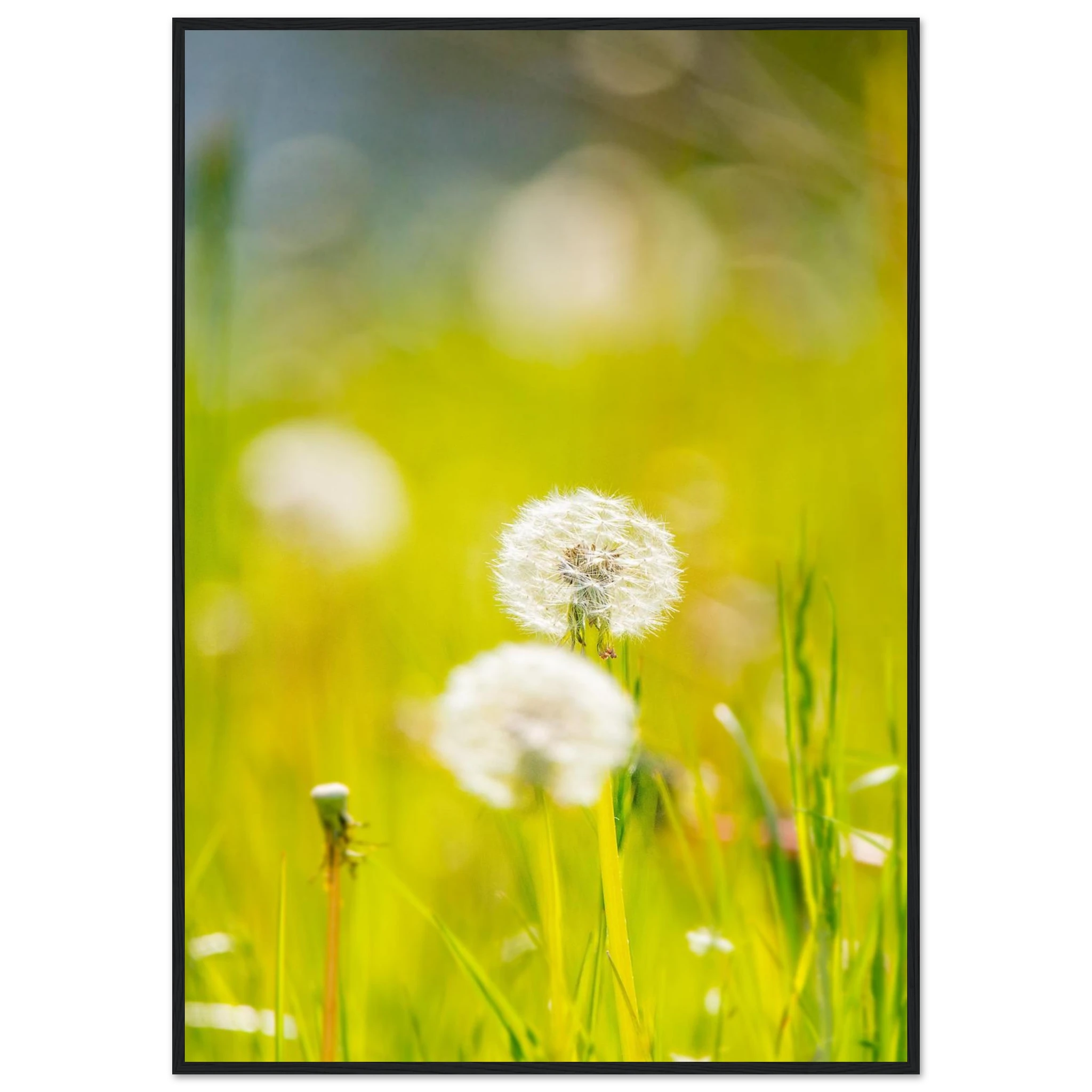 6a66898f-76d8-444e-b867-ae5e258fd0eb