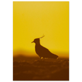 6a96c585-db86-4ccf-b9ae-0031c11ec23c