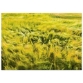 6d245263-2d8e-4af9-b0ff-e862f95c343a