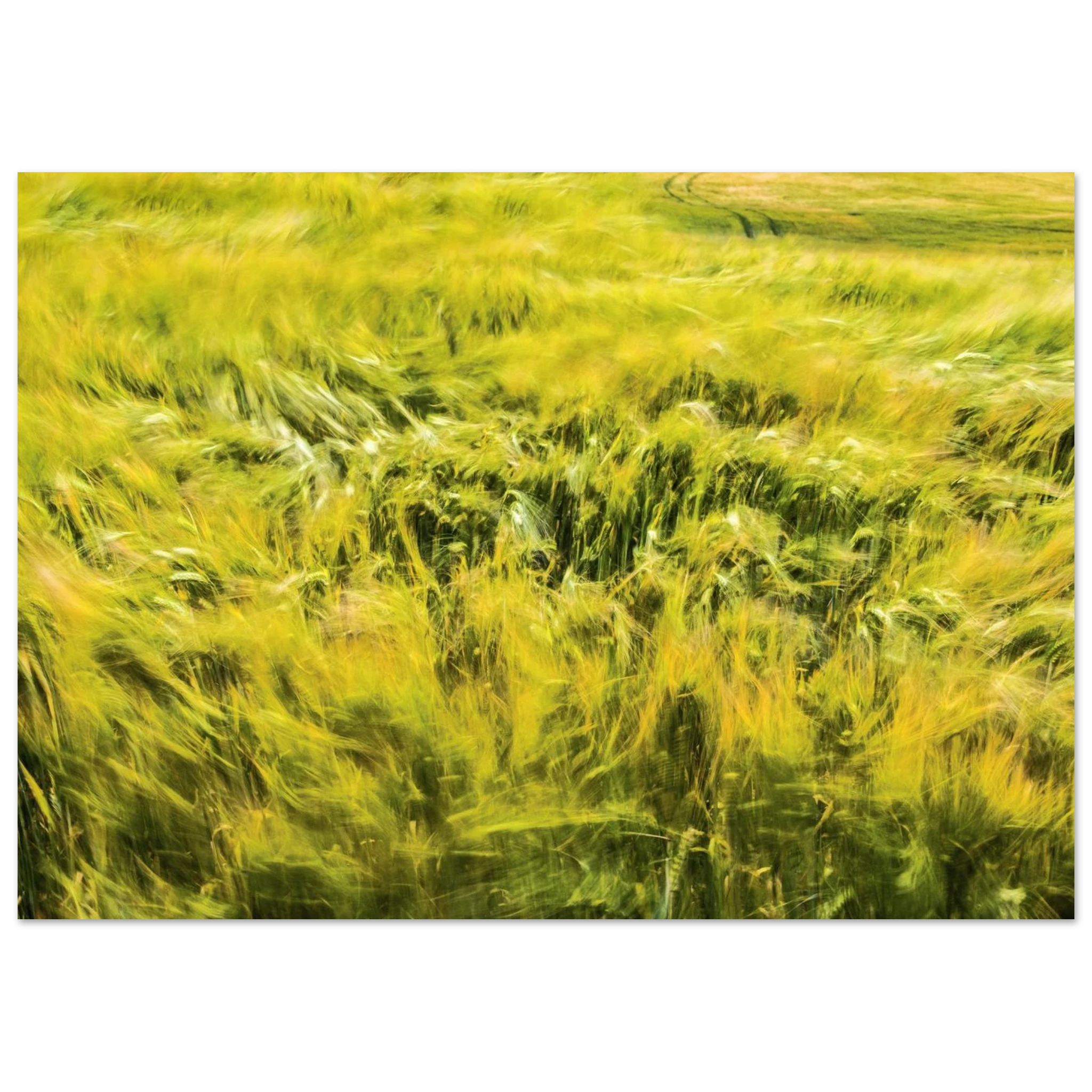 6d245263-2d8e-4af9-b0ff-e862f95c343a