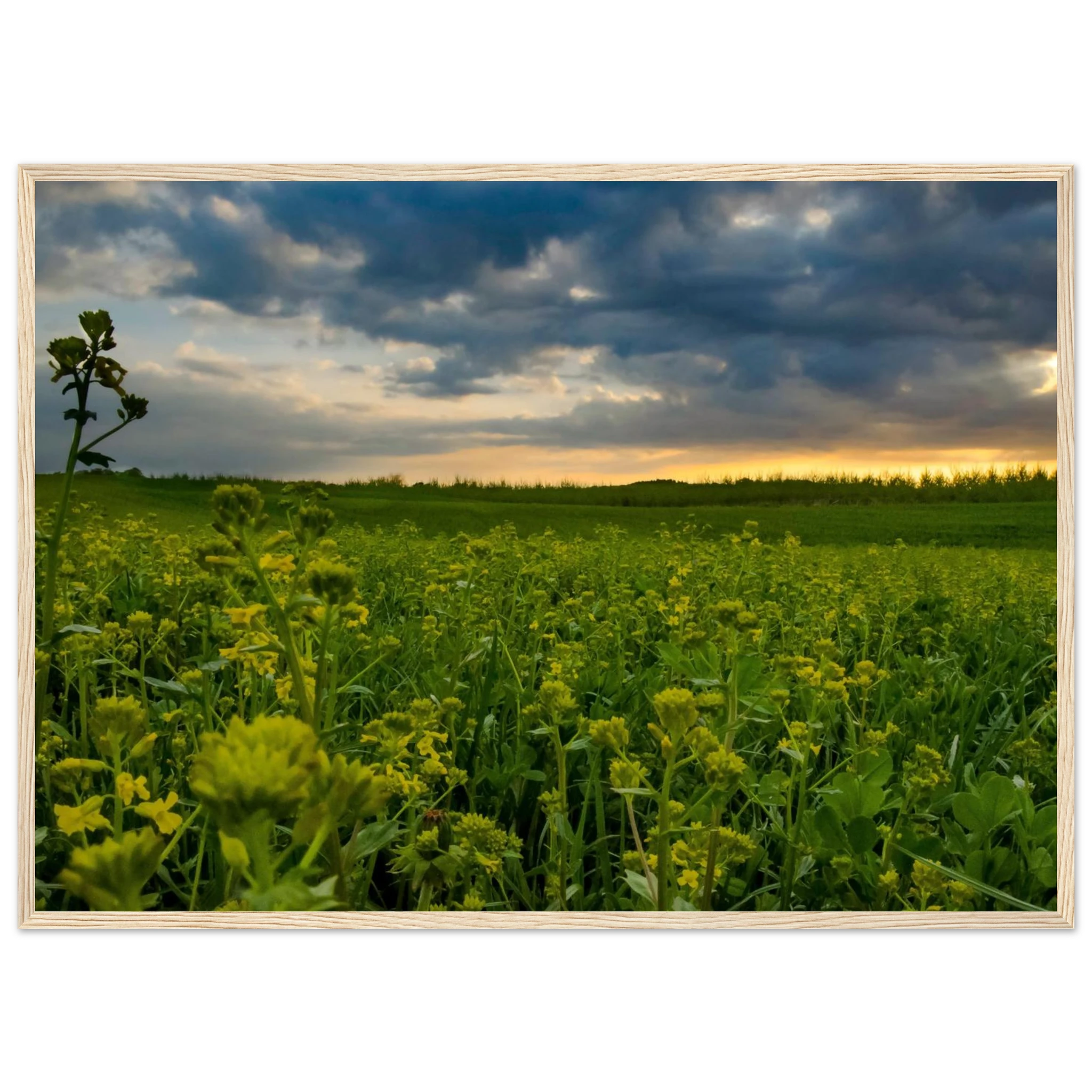 6d727baa-f316-462d-9f36-605ebf3ba98a