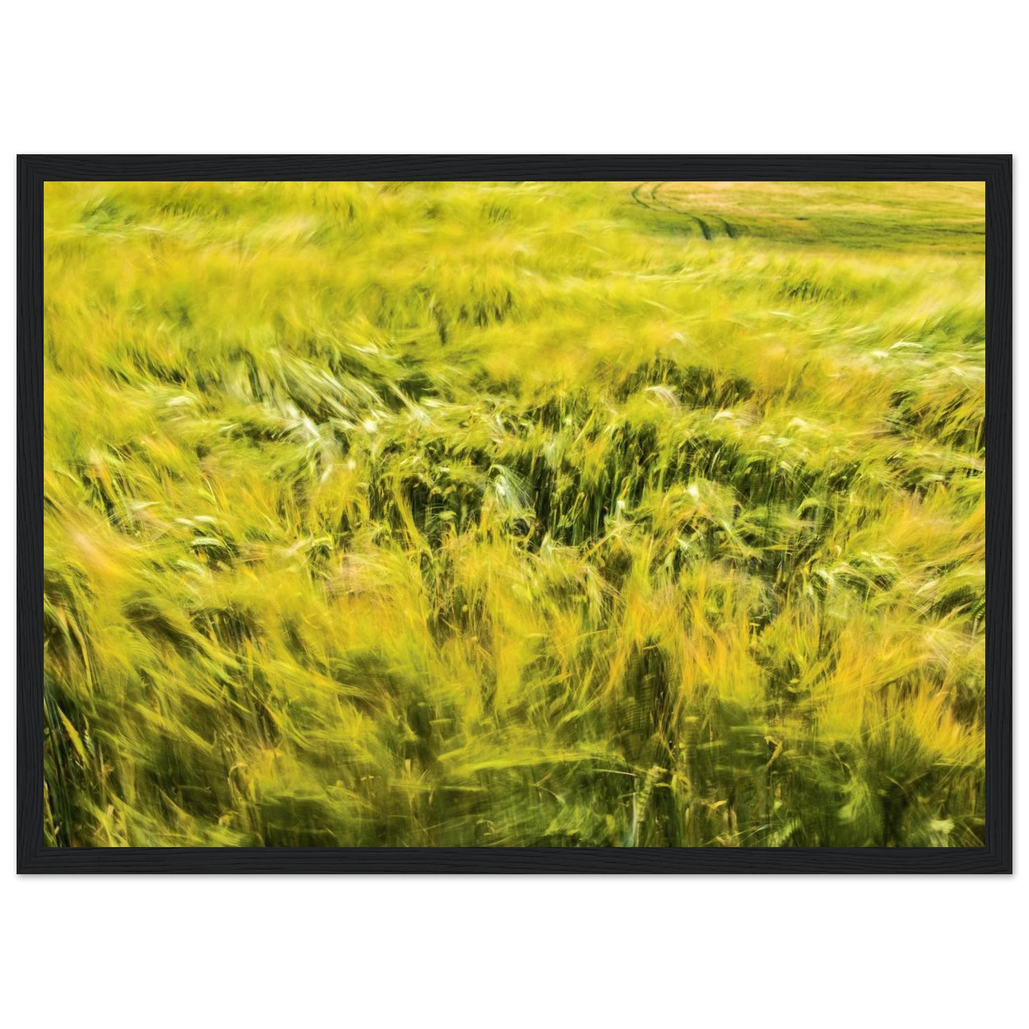 6d7728dc-e848-40c5-ba64-a989719b84f9