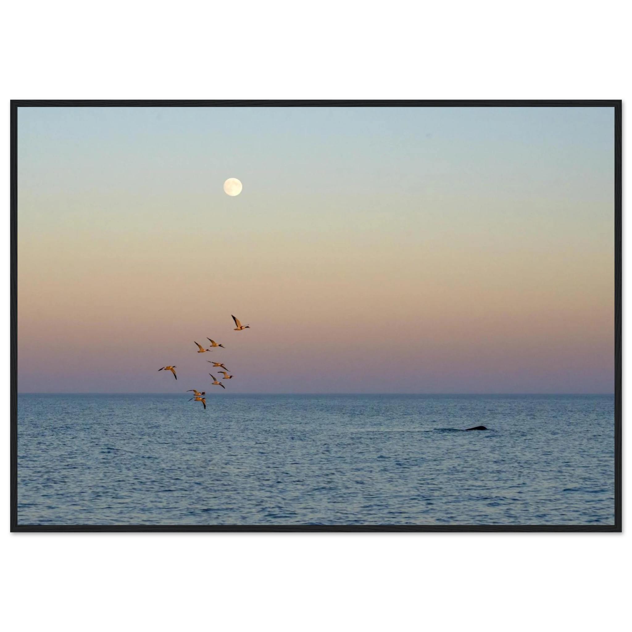 6e079cee-ec96-46a7-8a92-104d936e8f13