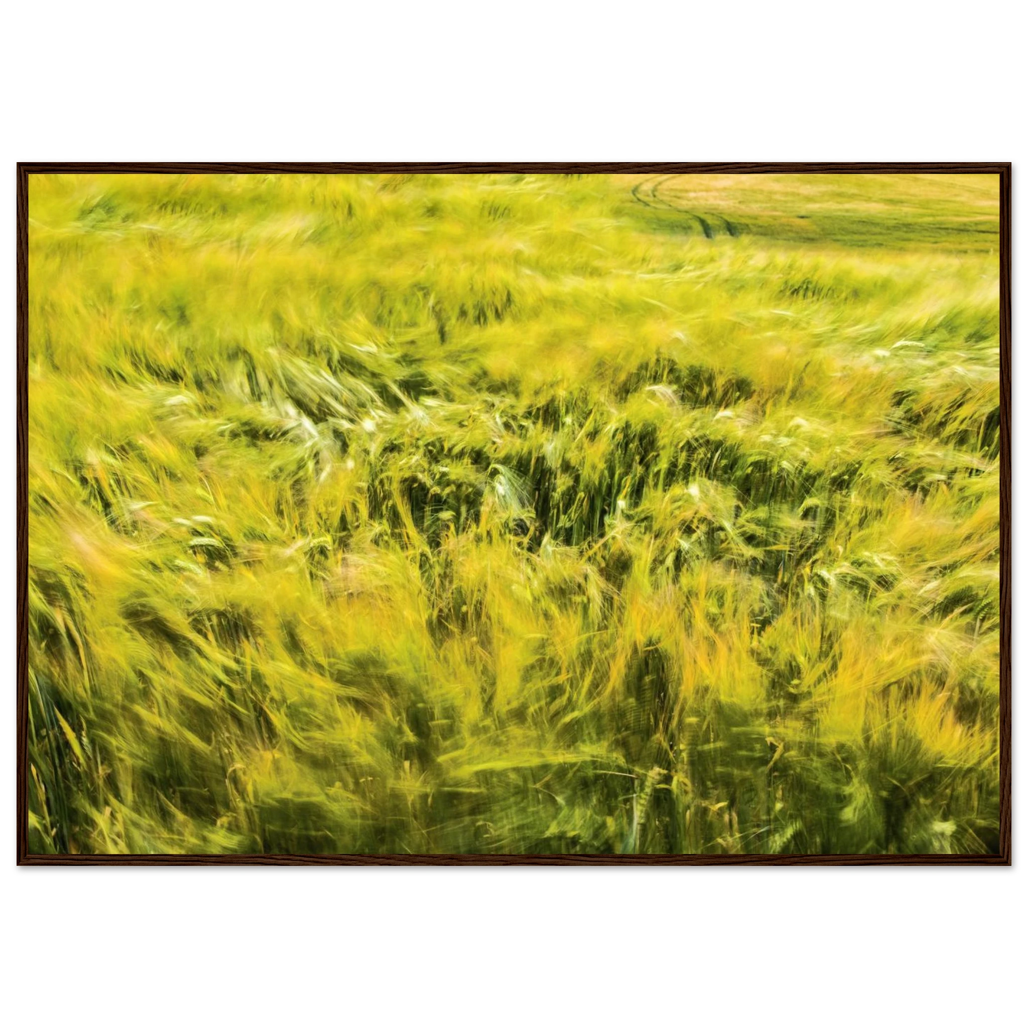 6e1355f6-78e5-442b-ac25-7b49306bc03a