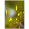 6f85f1c3-b235-41ba-bb02-0f5aac33362e