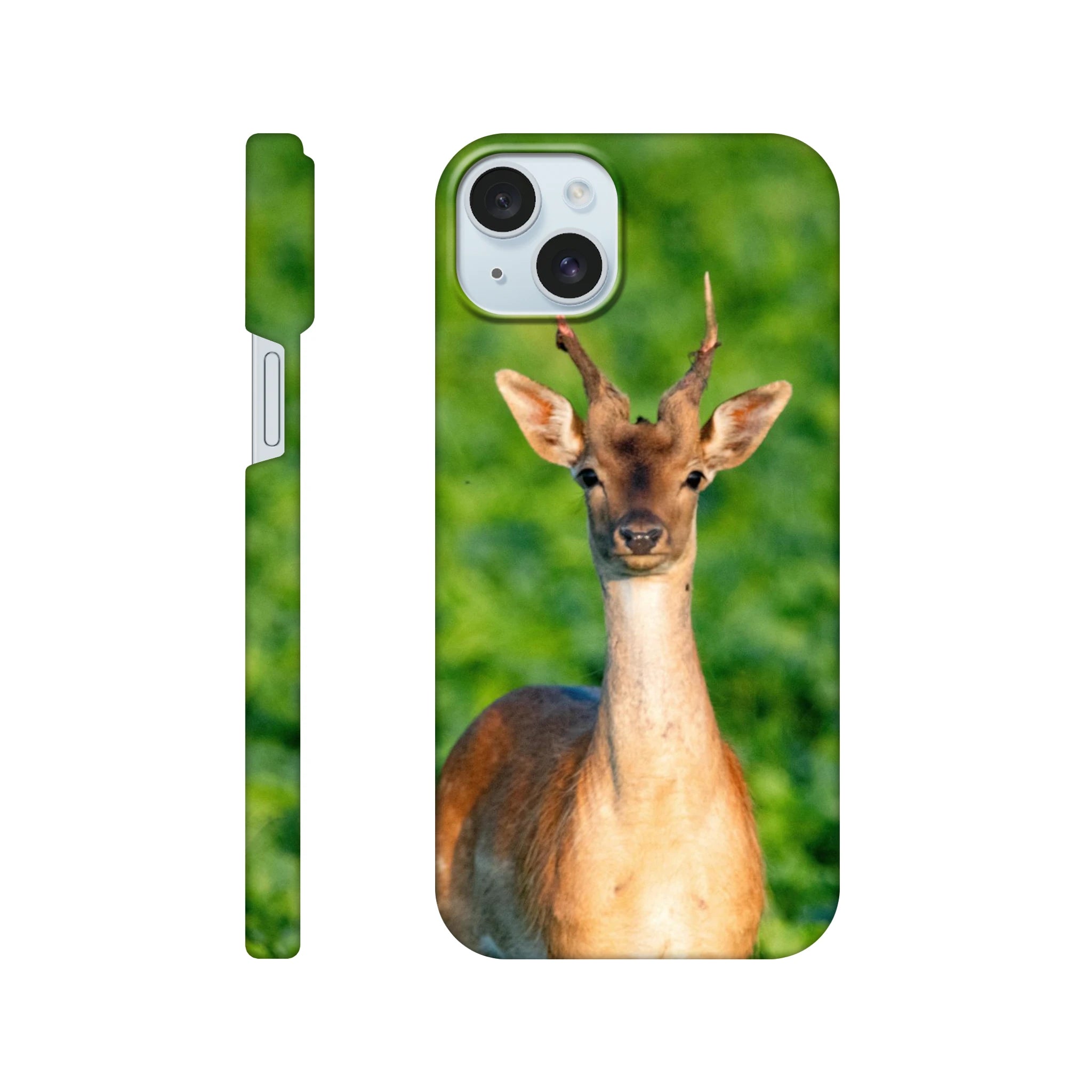 6fab19cb-7d01-48c9-ba3f-caad6fb2f65d