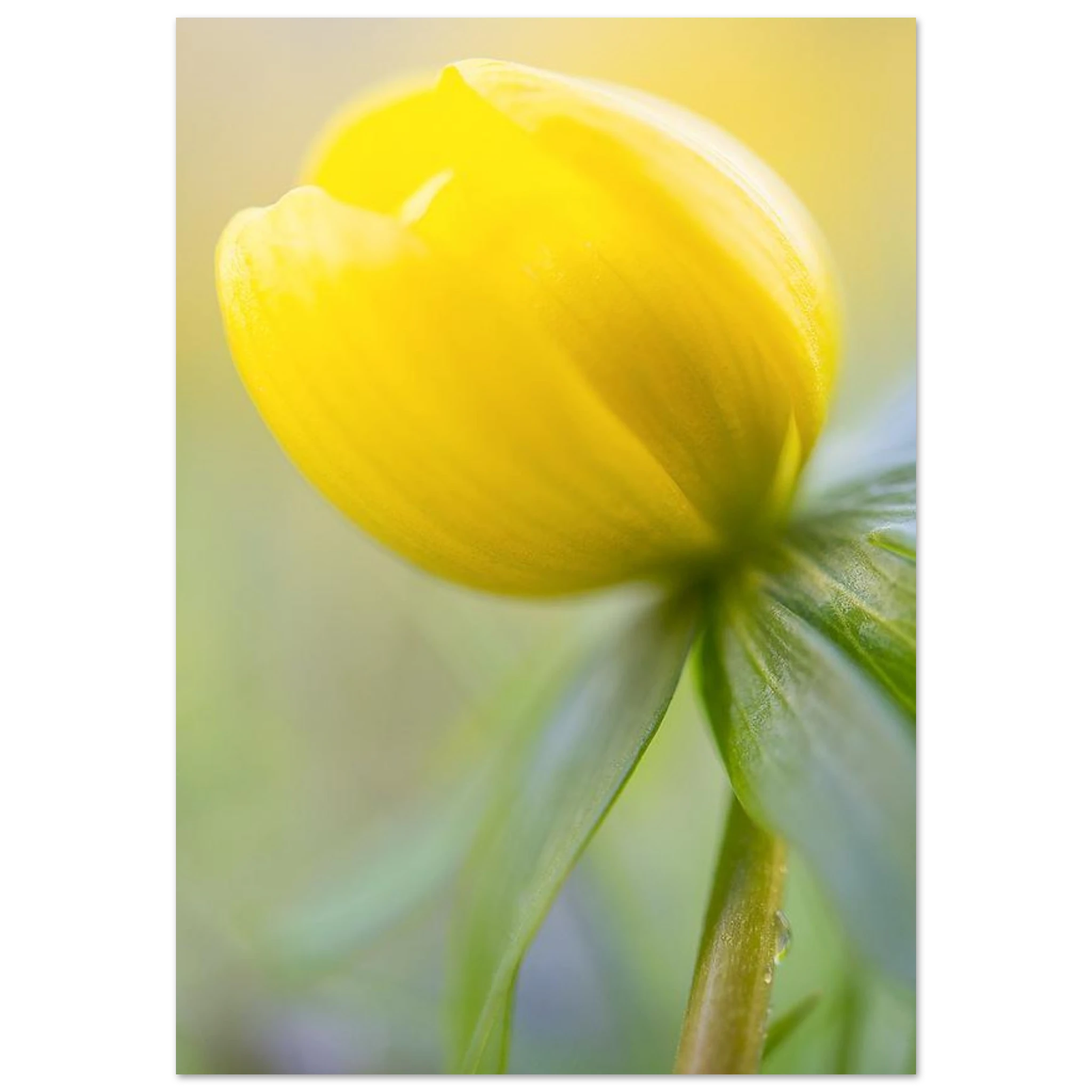 70314562-1f87-44f8-bb61-0da27b1a8da3