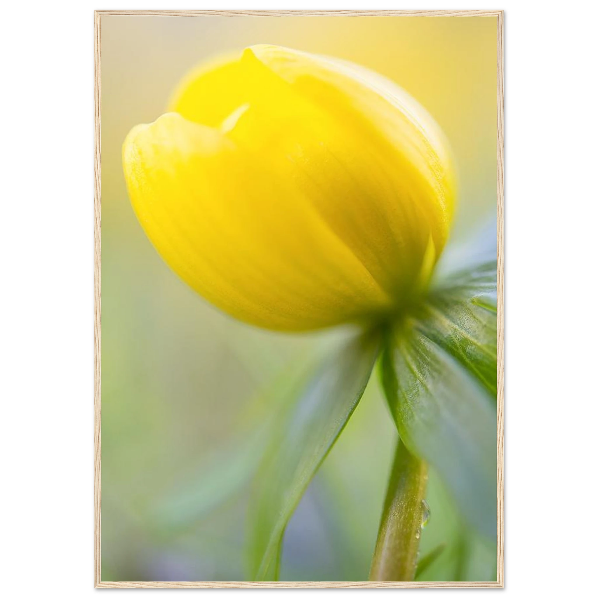 70c4f409-2311-4c6f-bb97-f7ef8cb61a7c