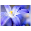 72301043-3b36-4661-9ef1-2ecabfd58d0b