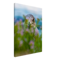 72fde1b6-d71e-446b-a97e-e3862fcbd55a