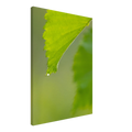 7512b55a-f856-43a1-a3e7-ee0ed5bf3c51