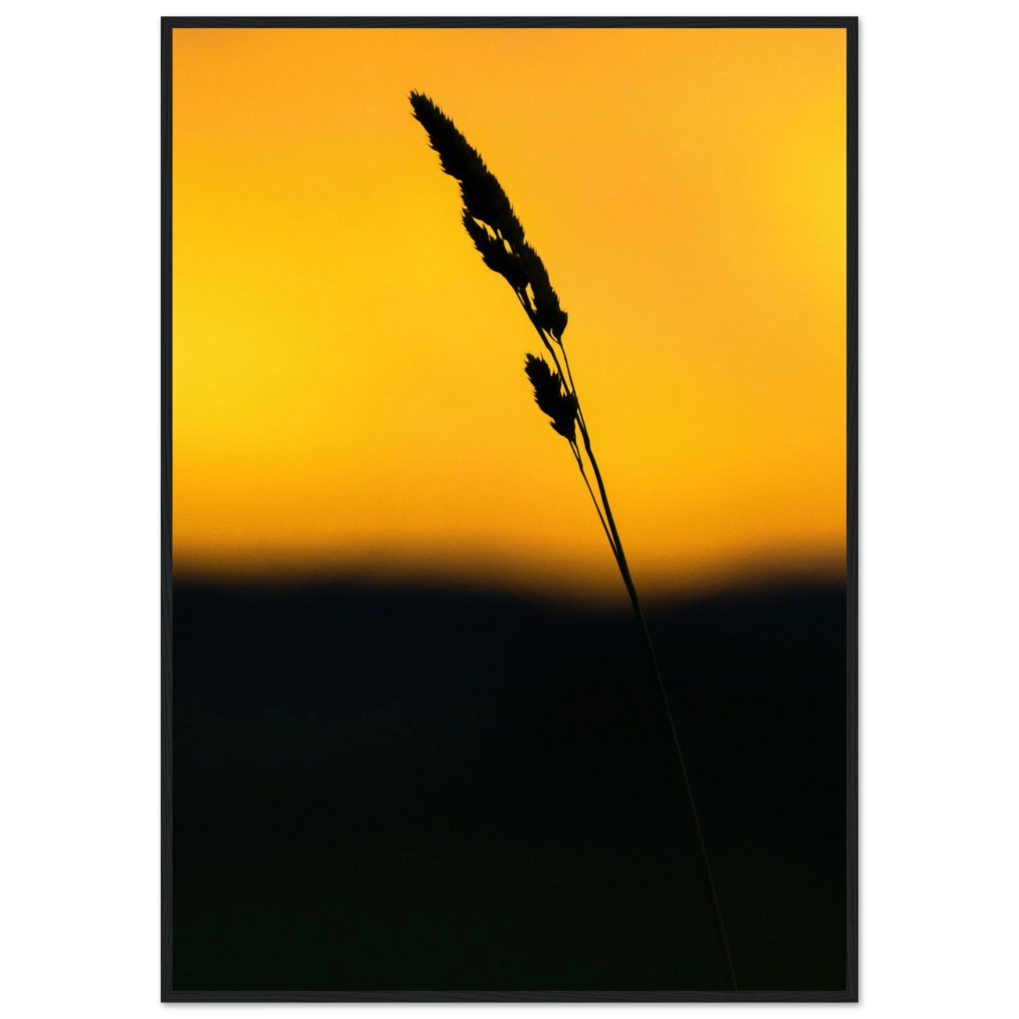 75450152-6f7d-4417-bc39-b68234625492