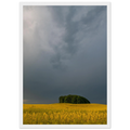 7604a3a3-f179-4e2f-a661-56fded3c6d96