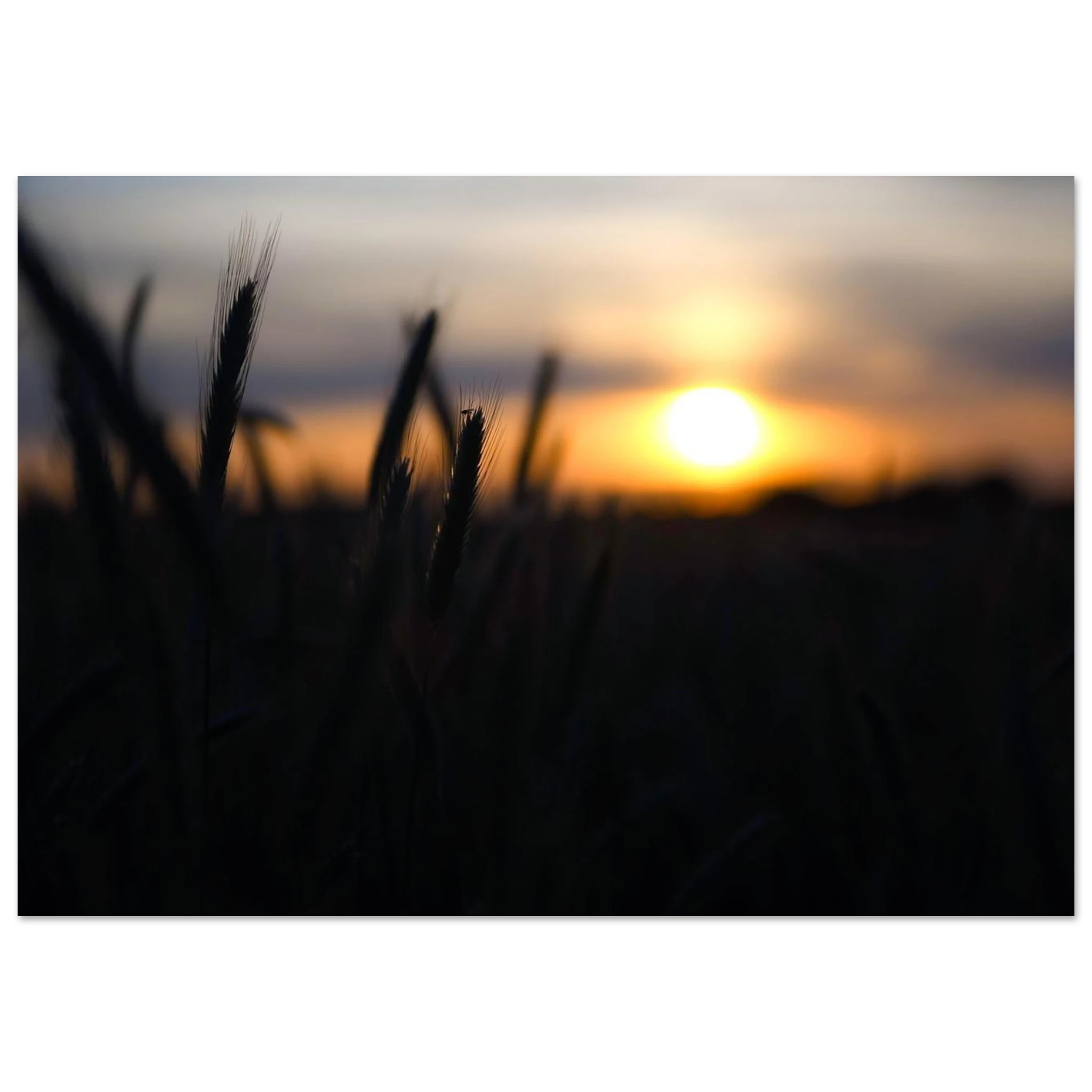 763e3b45-19b0-461f-aa9d-a54cef91cec8