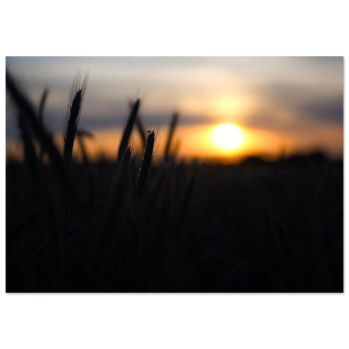 763e3b45-19b0-461f-aa9d-a54cef91cec8