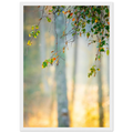 7648d369-c781-4e52-af08-79715e43f1b4