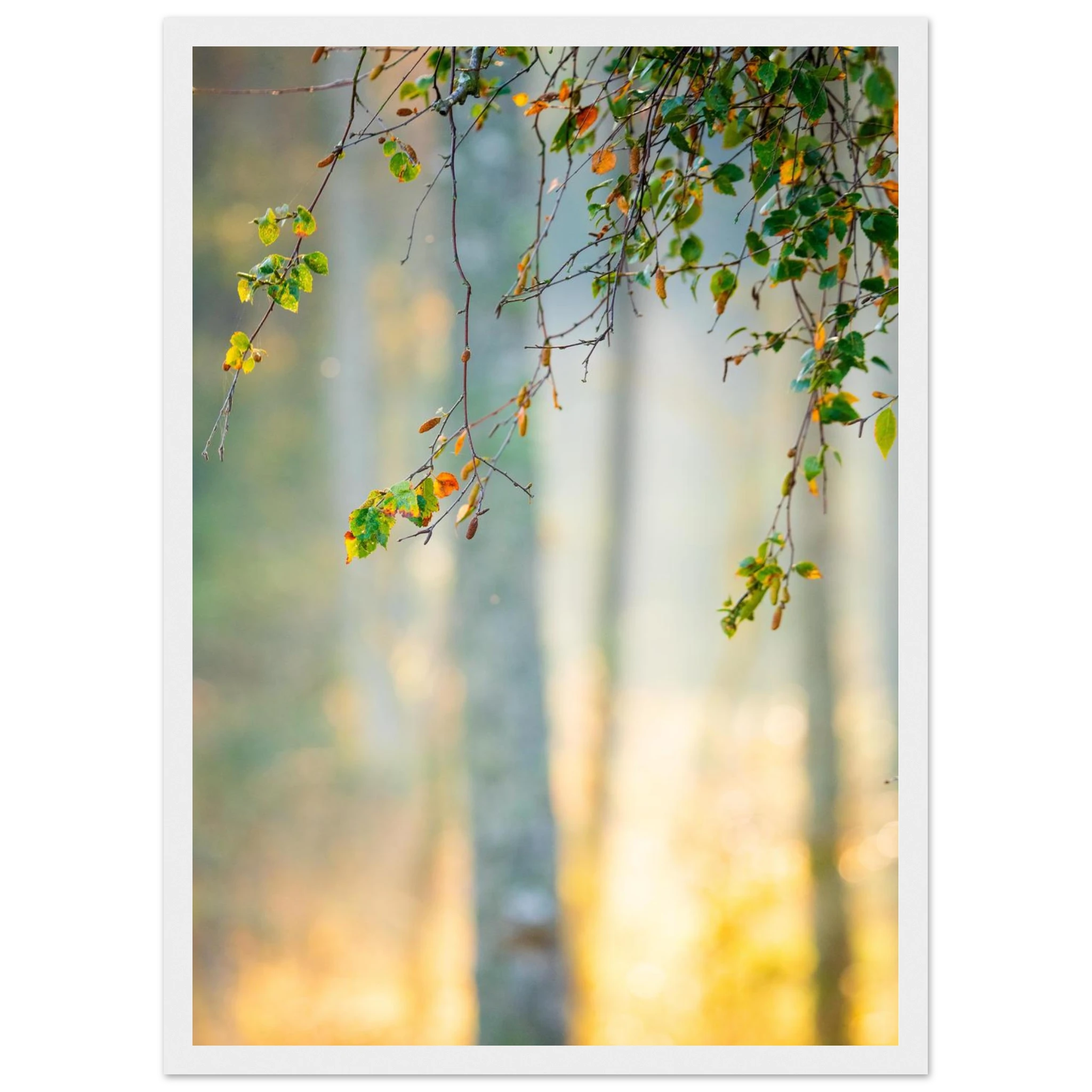 7648d369-c781-4e52-af08-79715e43f1b4