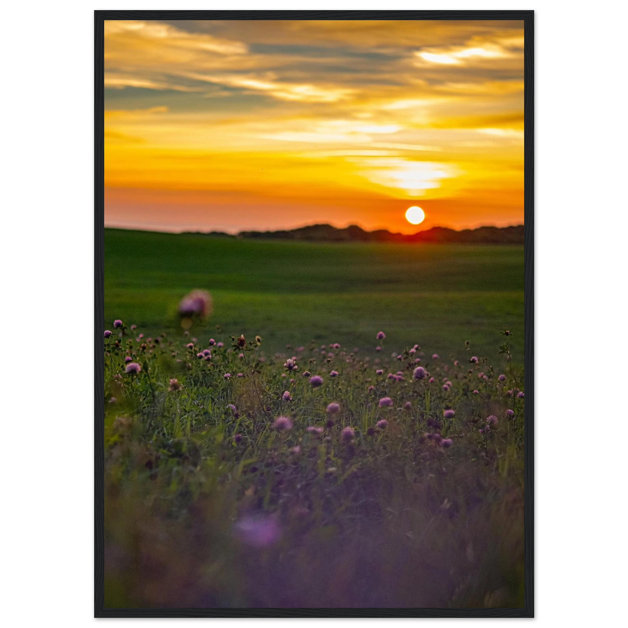 77136679-fd17-4091-a9f5-a71f4aced732