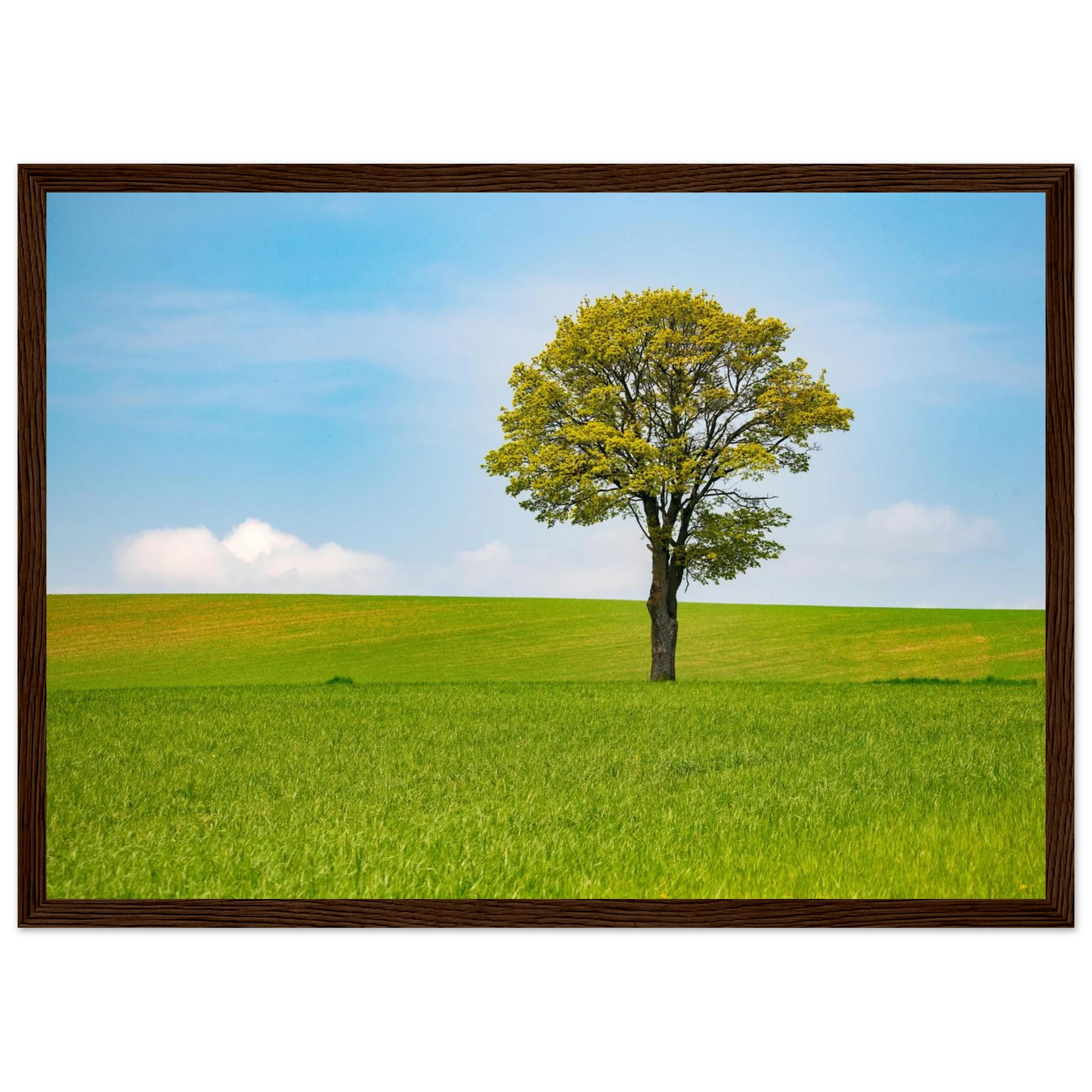 771addb2-1800-40bc-bf4d-6437c7956348