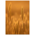 778a6c7f-0275-4b44-a1a2-3470843cc0e3