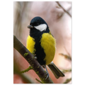 787c3487-7be5-482f-9f4e-9219d2df3141