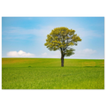 7b845daa-a900-4255-a677-be282670124c
