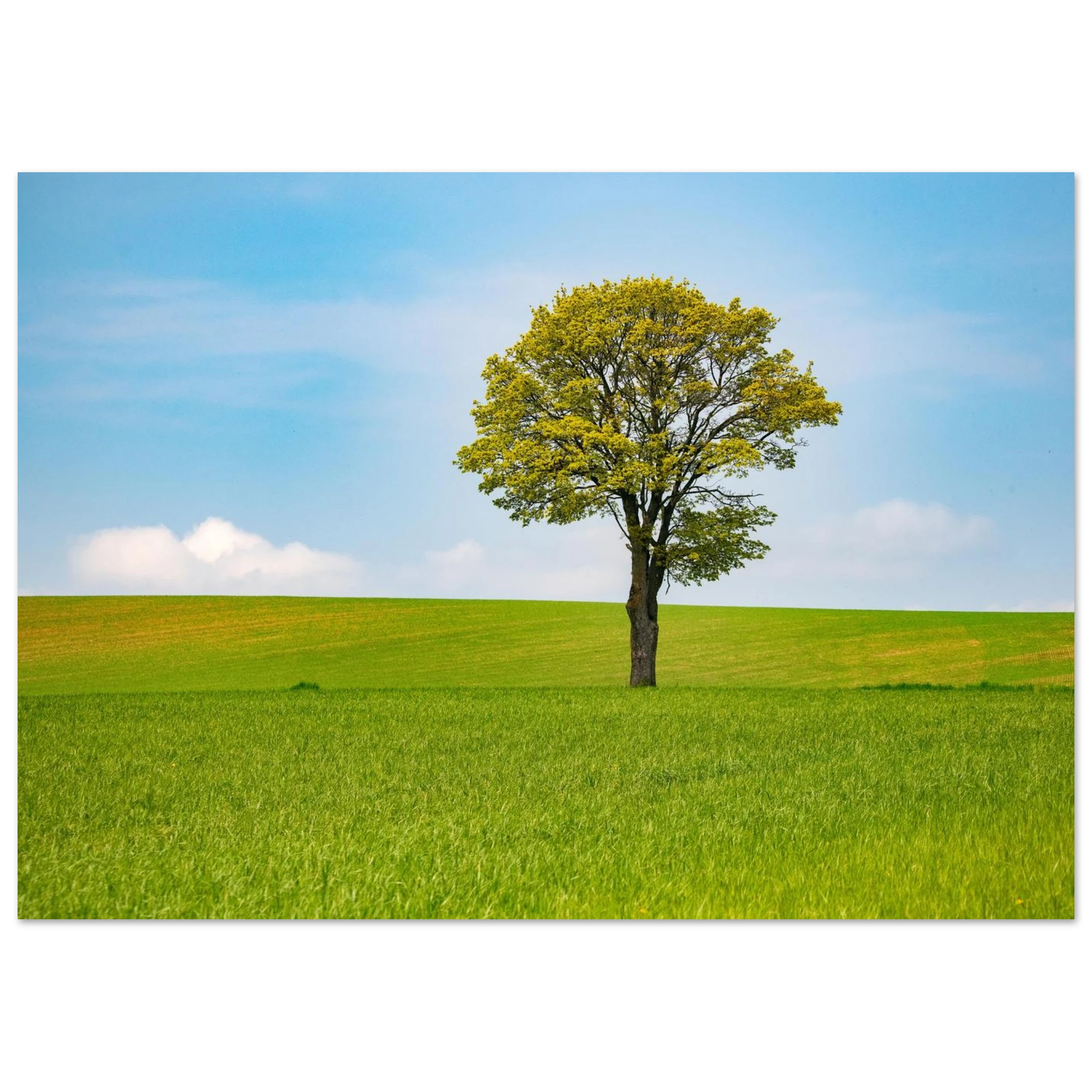 7b845daa-a900-4255-a677-be282670124c